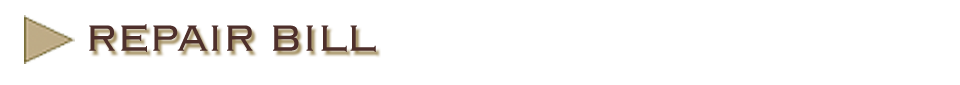 Repair Bill