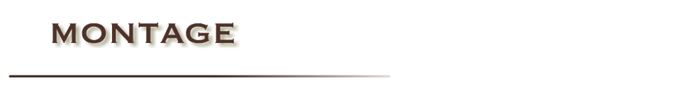 Montage