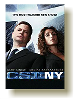 CSI NY